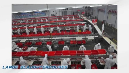 Meat Bone Cutting Saw Machine in High Quality